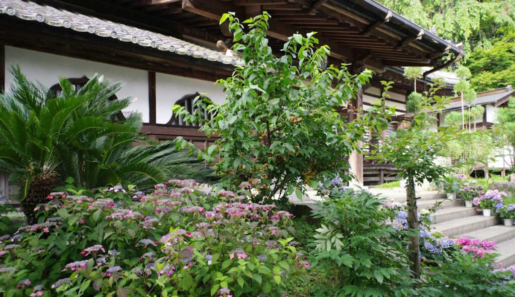trees and shrubs